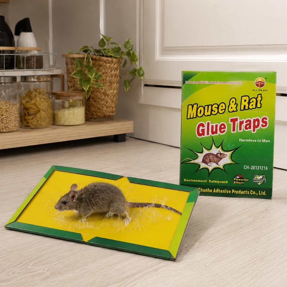 Shop-Story Maison piège souris collant x3 21x15,5cm non toxique