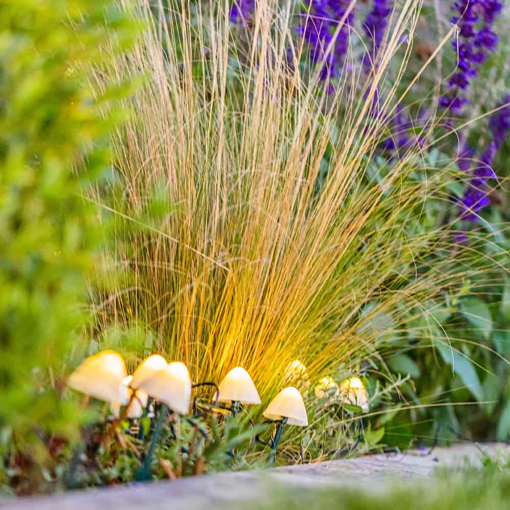 Red Deco Champy 10 champignons solaires LED blanc chaud 3,8m