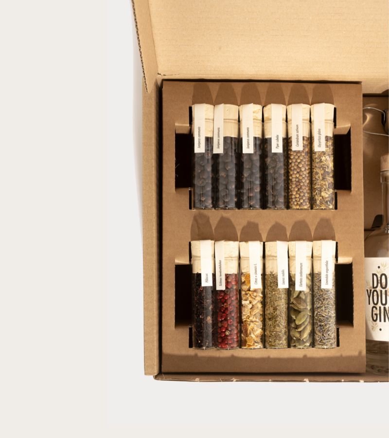 L'avant gardiste L'apéro coffret gin maison 12 épices