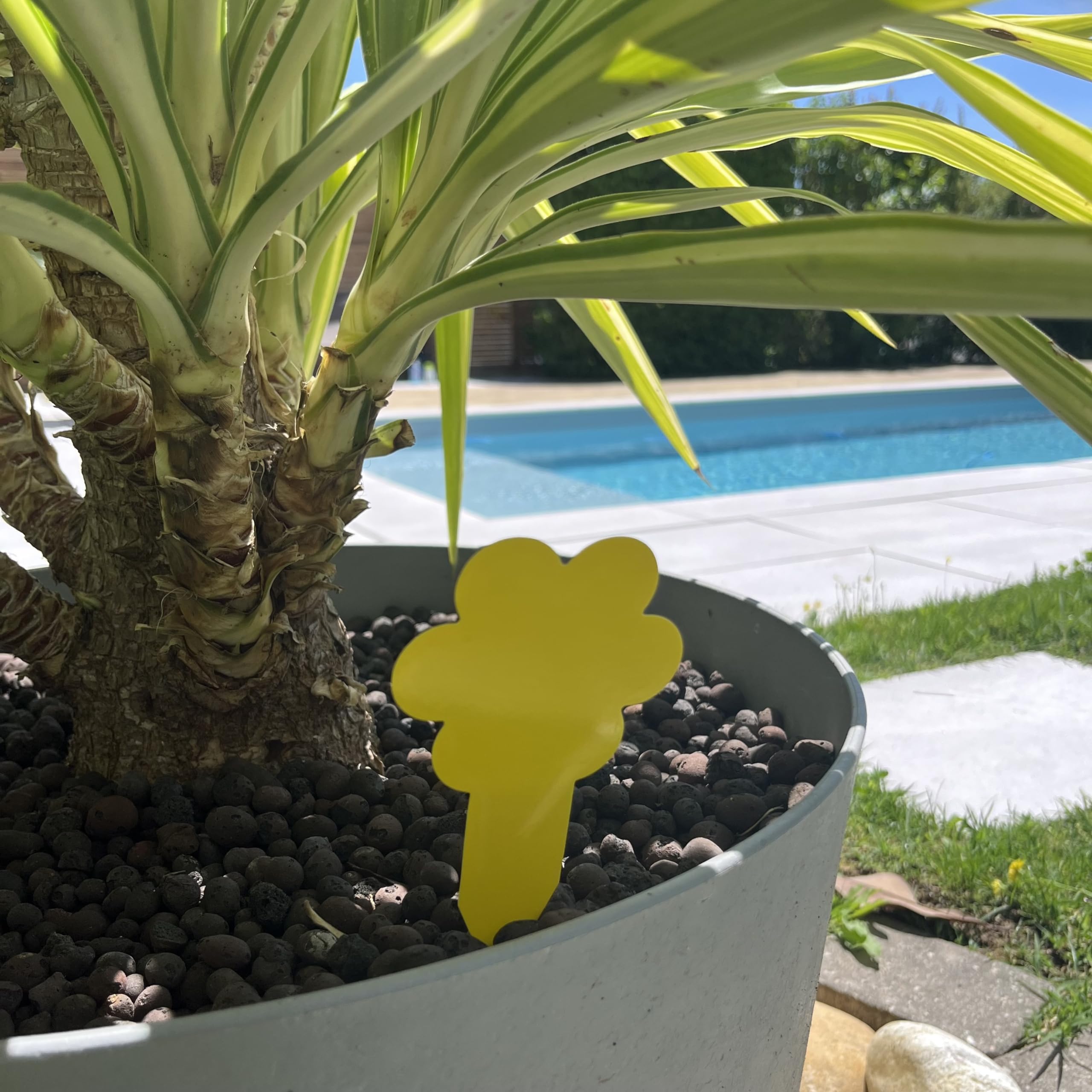 Shop-Story Maison Gnatrap_2X piège mouches 60 pièces jaune