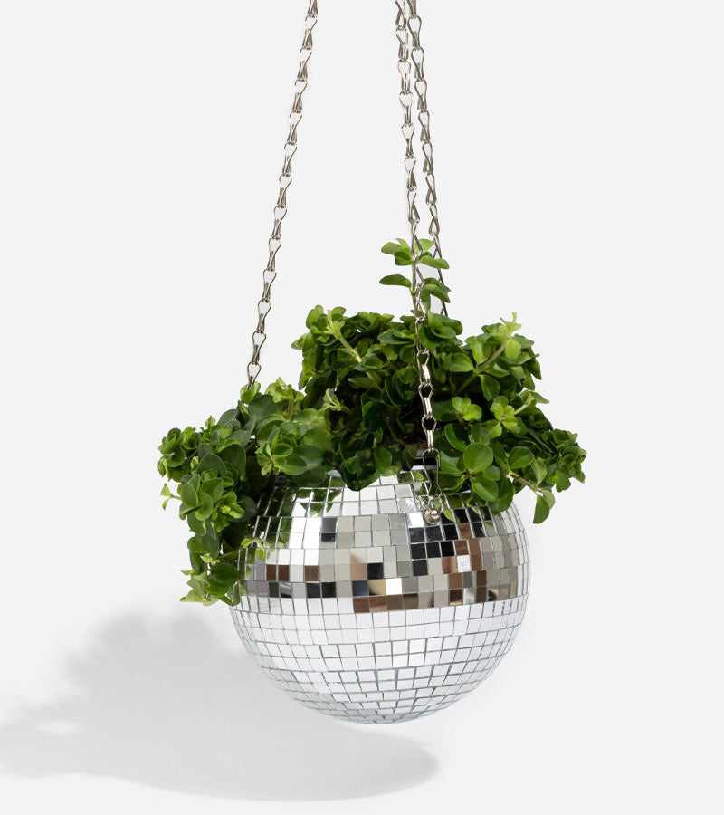 L'avant gardiste Disco pot plantes boule facettes 15cm