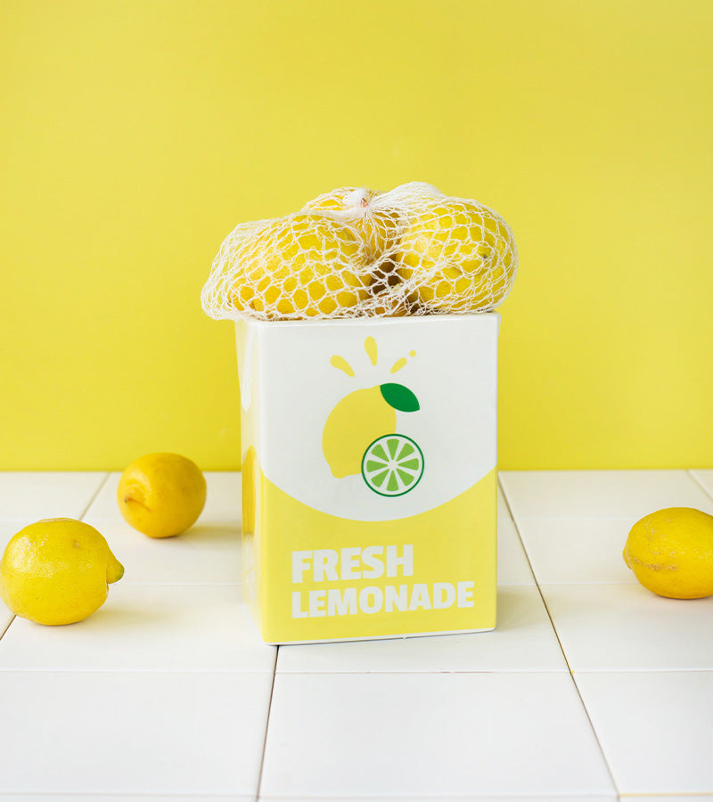 L'avant gardiste Vase Fresh Limonade brique déco pop