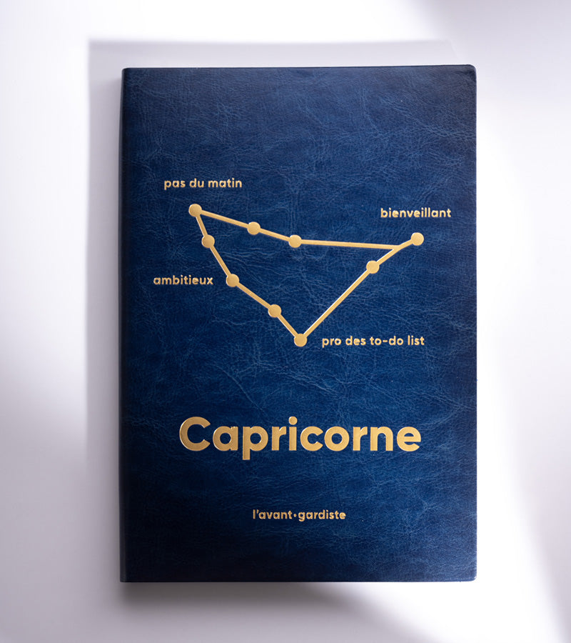 L'avant gardiste Livres Carnet astro Bélier ligné