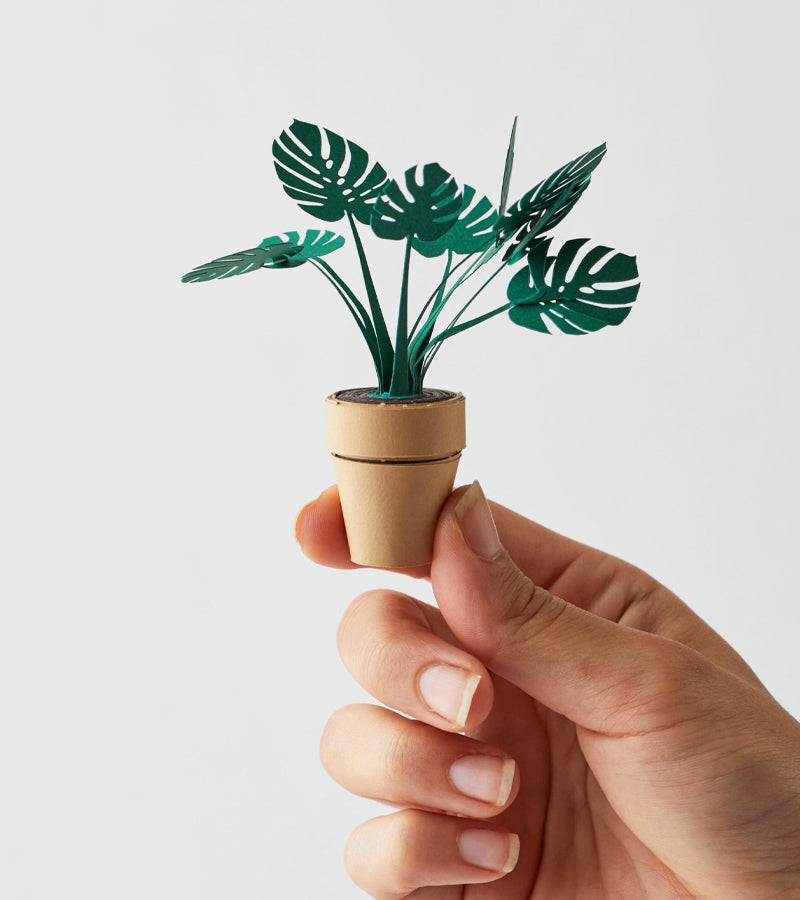 L'avant gardiste Plantes en papier DIY jungle sans arrosage