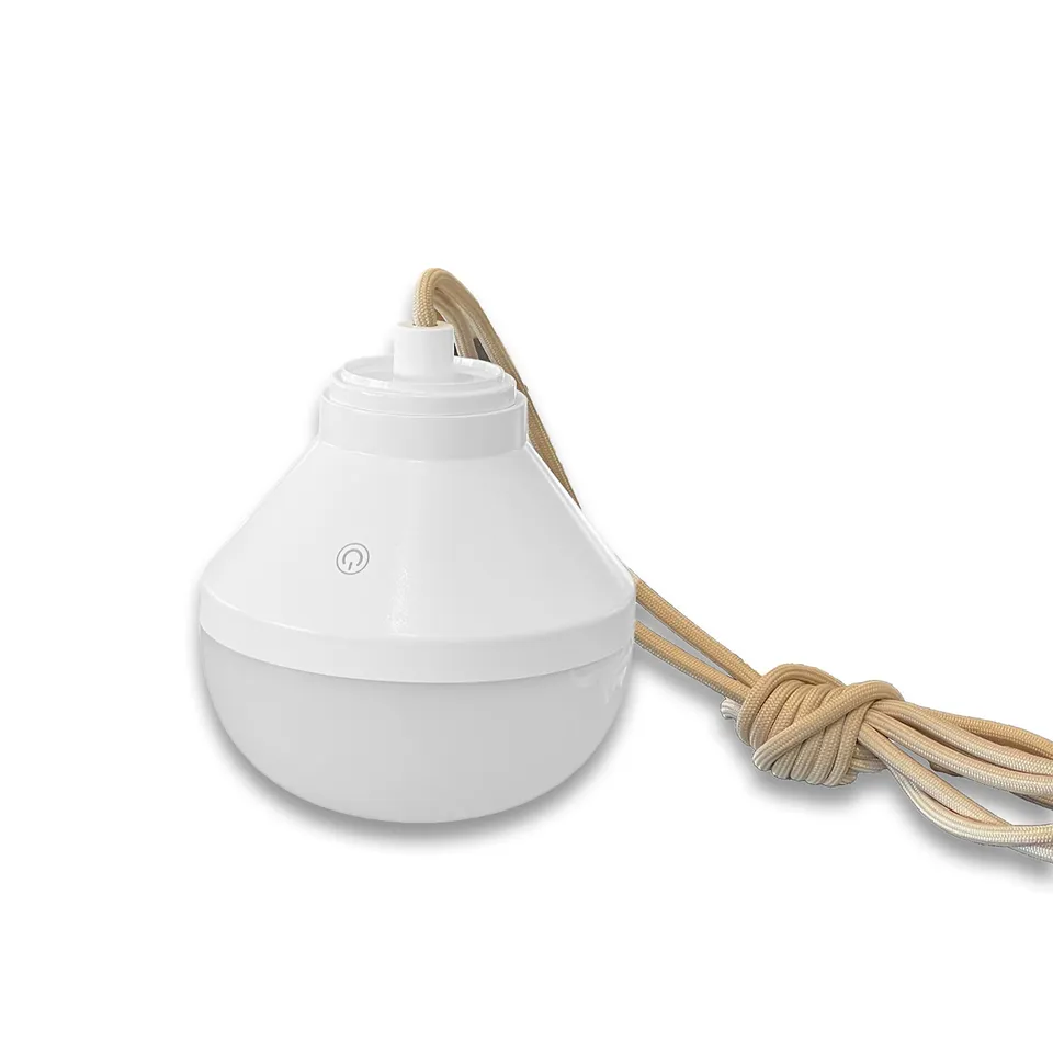 Red Deco Lys ampoule LED rechargeable 900lm télécommande