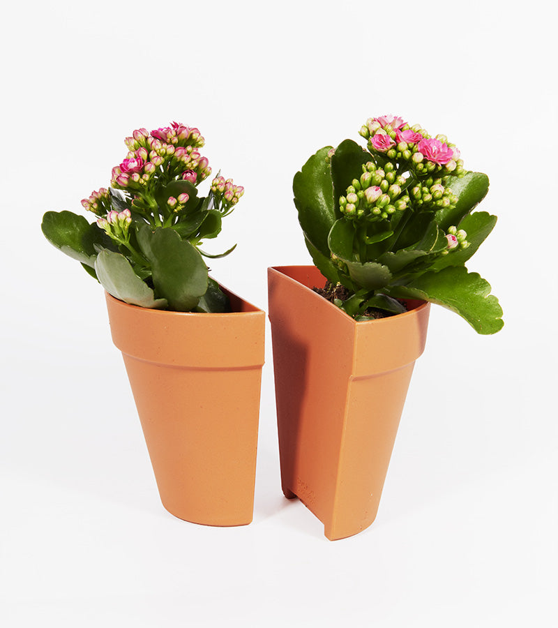 L'avant gardiste Serre-livres 2 en 1 pot à plantes lot 2