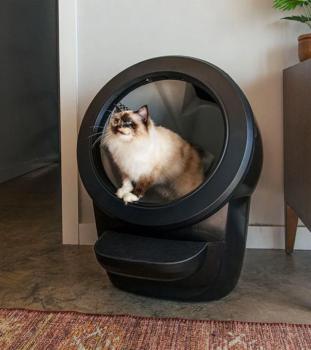 L'avant gardiste Lifestyle litière autonettoyante Litter-Robot 4 connectée