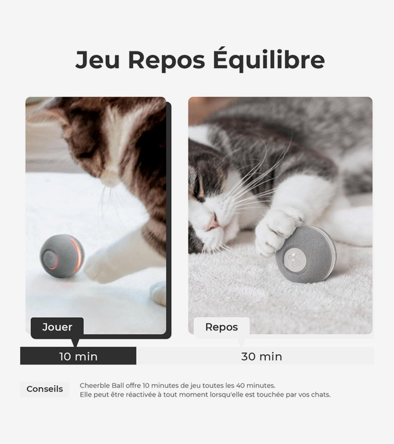 L'avant gardiste balle interactive pour chats LED USB
