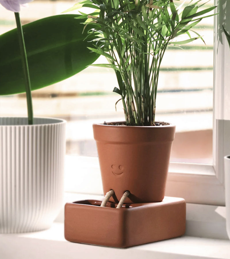 L'avant gardiste Vases et cache-pots jardinière autonome terre cuite
