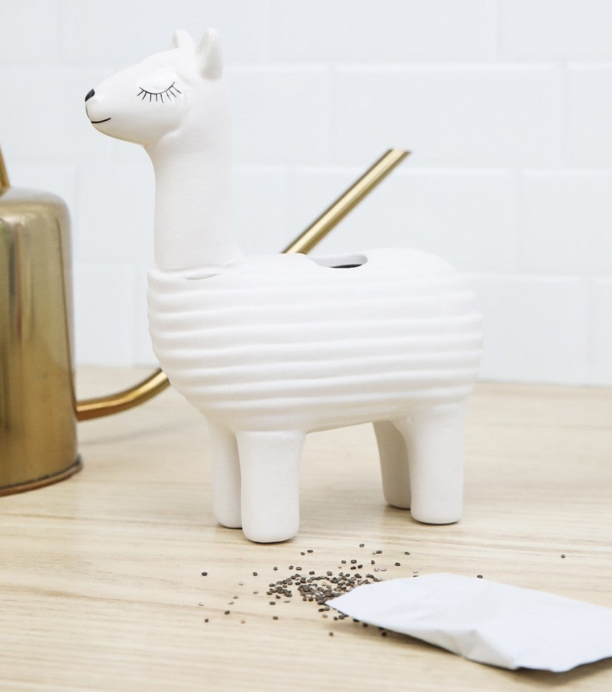 L'avant gardiste DIY Lama à faire pousser graines de chia