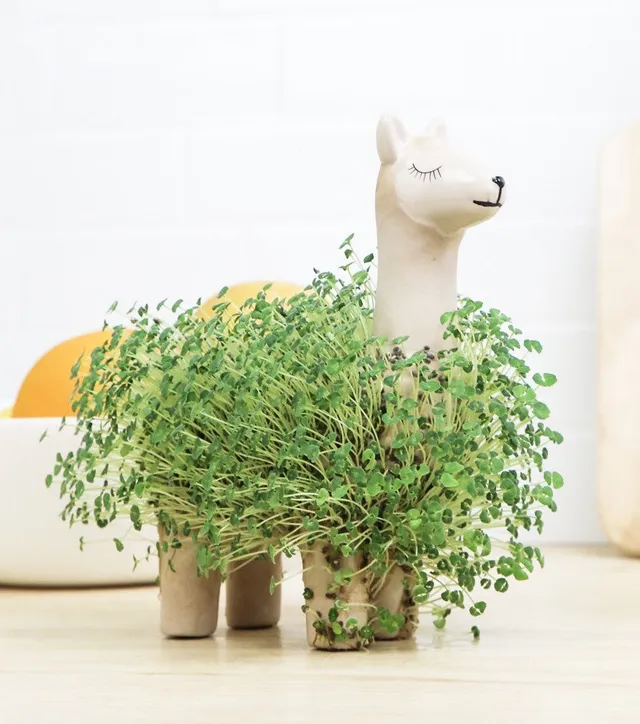 L'avant gardiste DIY Lama à faire pousser graines de chia