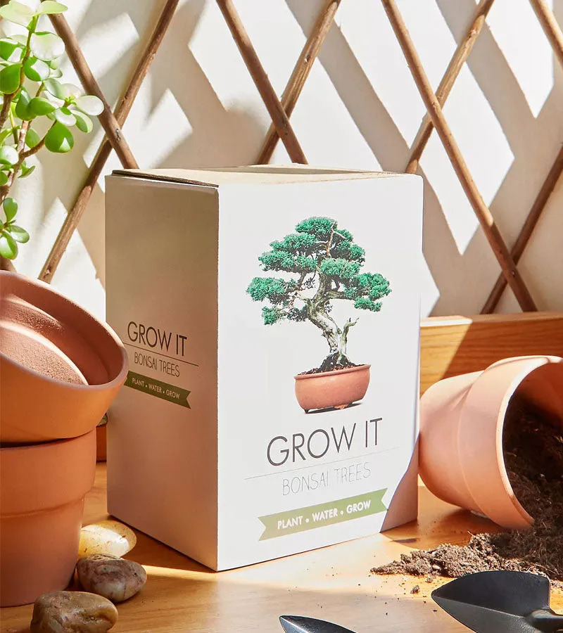 L'avant gardiste Outdoor kit plantation bonsaï graines