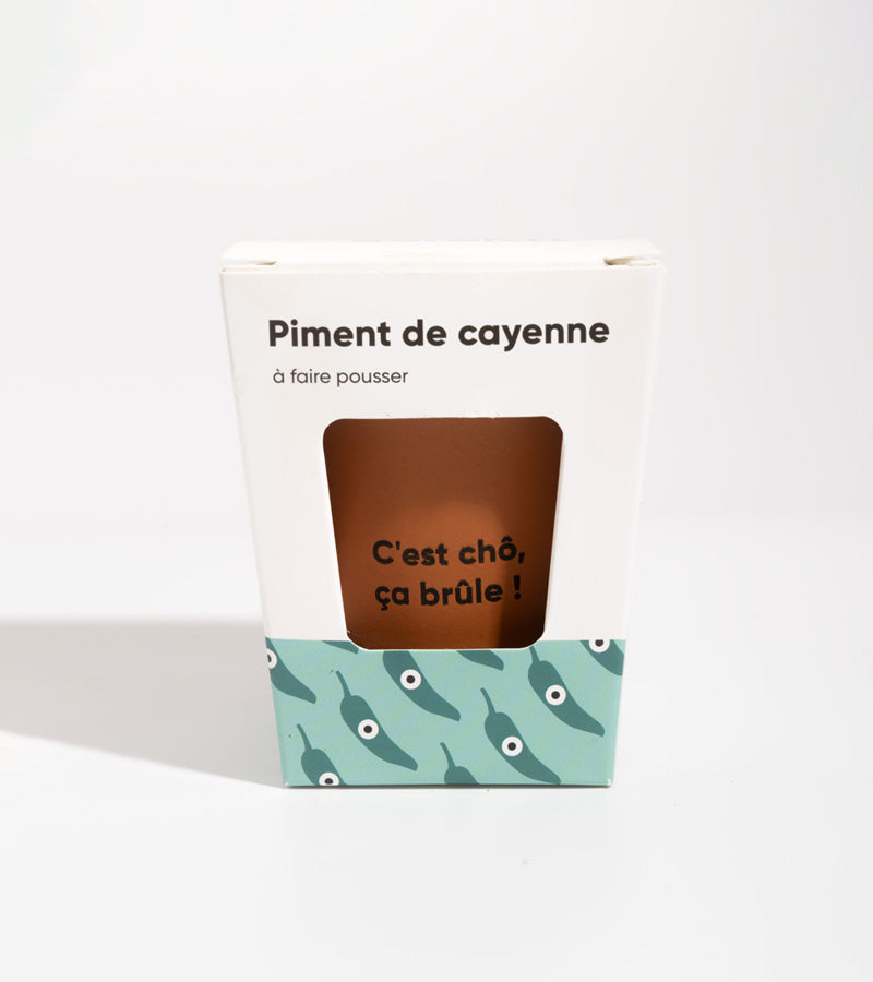 L'avant gardiste DIY Piment à faire pousser kit