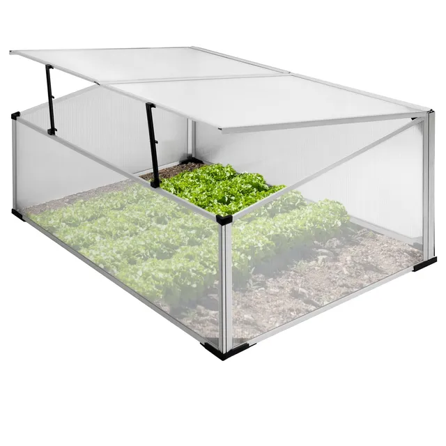 ECD Germany Garten Mini serre châssis 100x60x40 cm alu polycarbonate