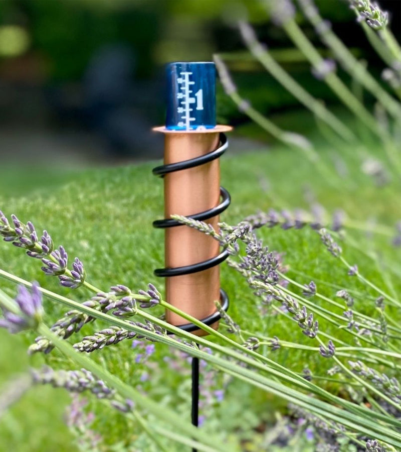 L'avant gardiste Pluviomètre en cuivre jardin pluie