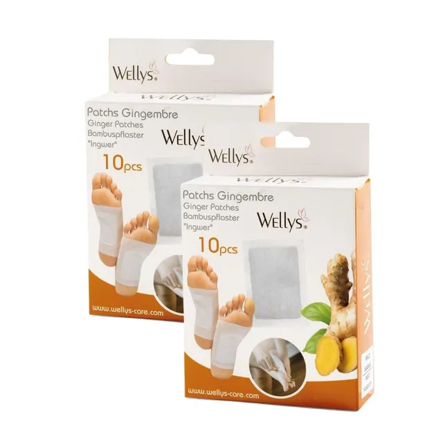 Shop-Story Ginpatch patchs pieds detox gingembre lot 20