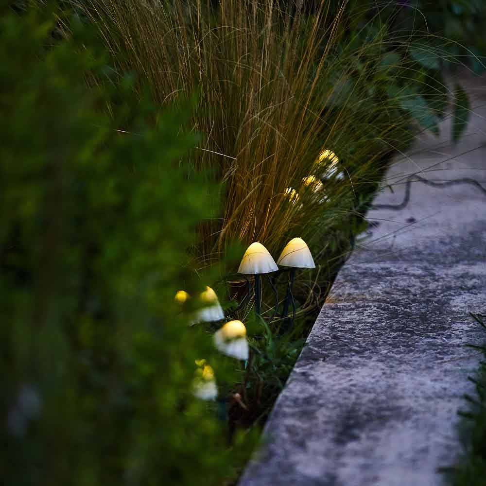Red Deco Champy 10 champignons solaires LED blanc chaud 3,8m