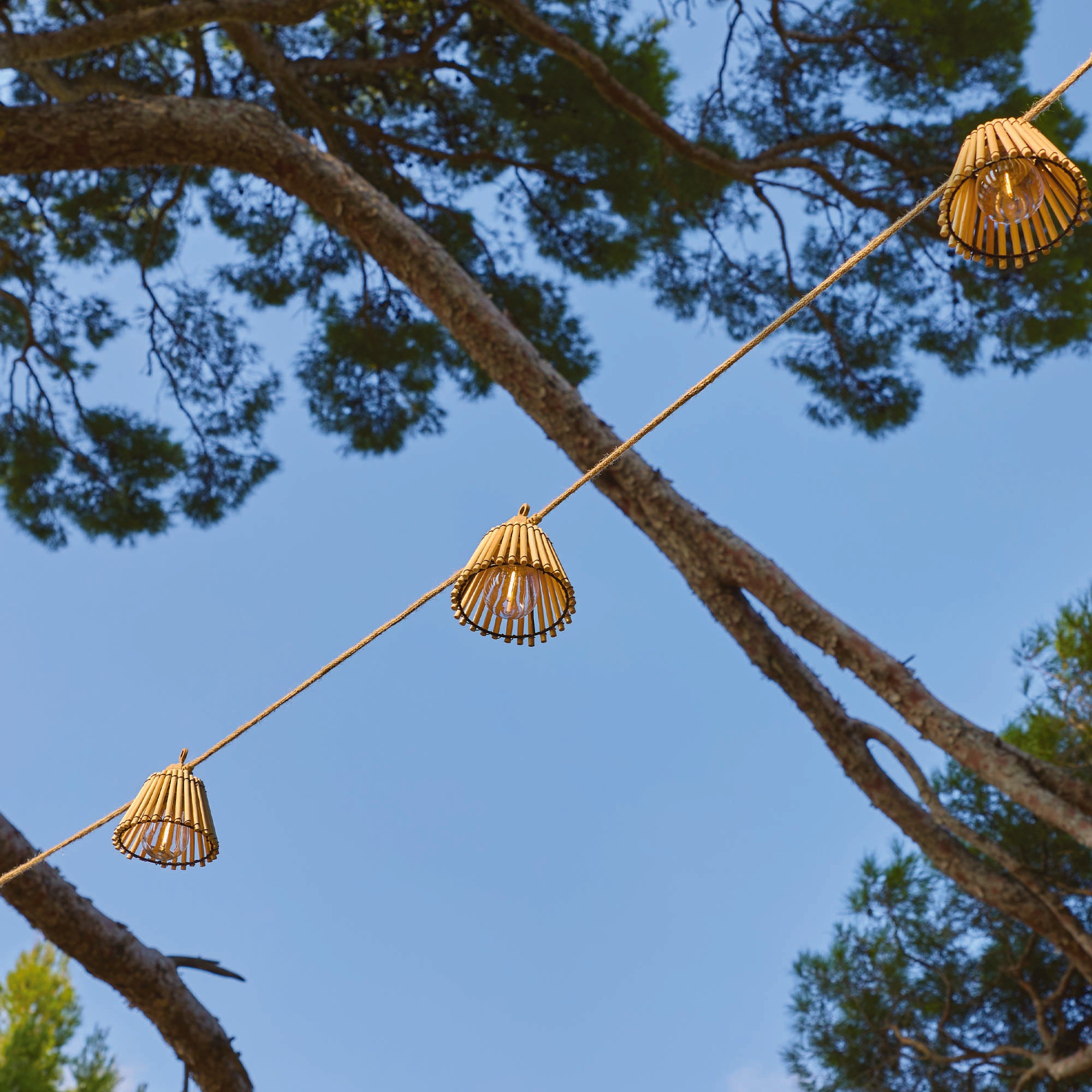 Red Deco Natura guirlande LED bambou 8m blanc chaud hybride