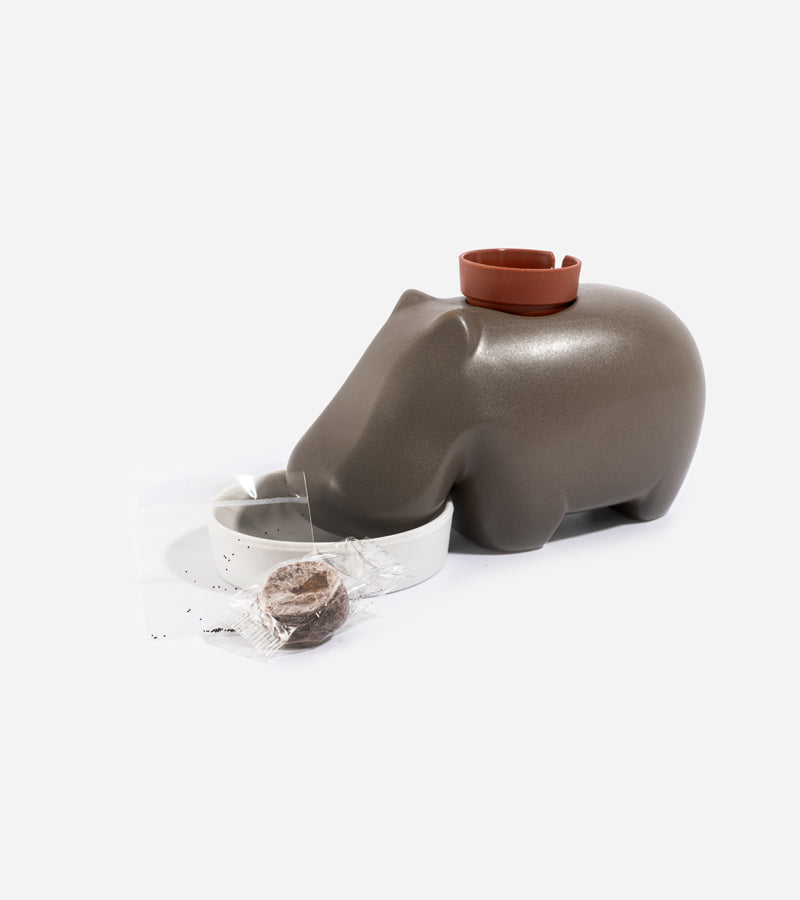 L'avant gardiste DIY Hippoplant hippopotame plante à faire pousser