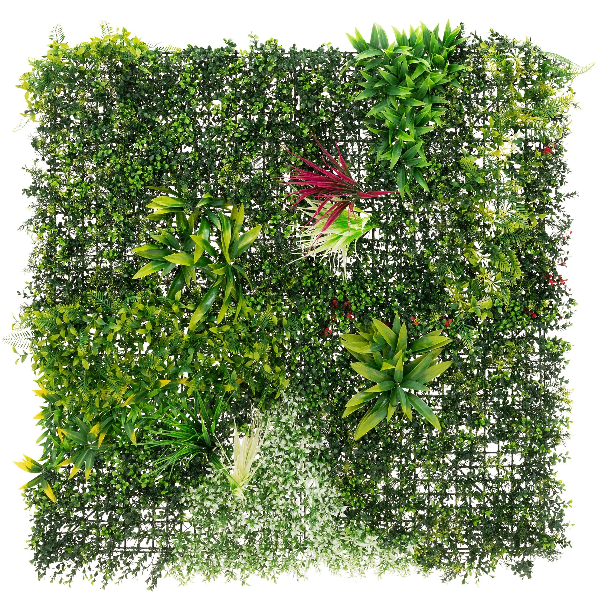 ECD Germany Haus panneau végétal 100x100cm Jungle Mix UV