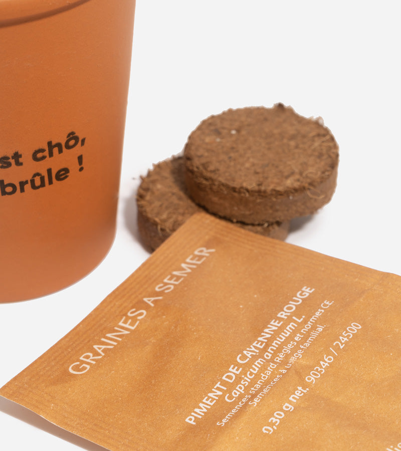 L'avant gardiste DIY Piment à faire pousser kit