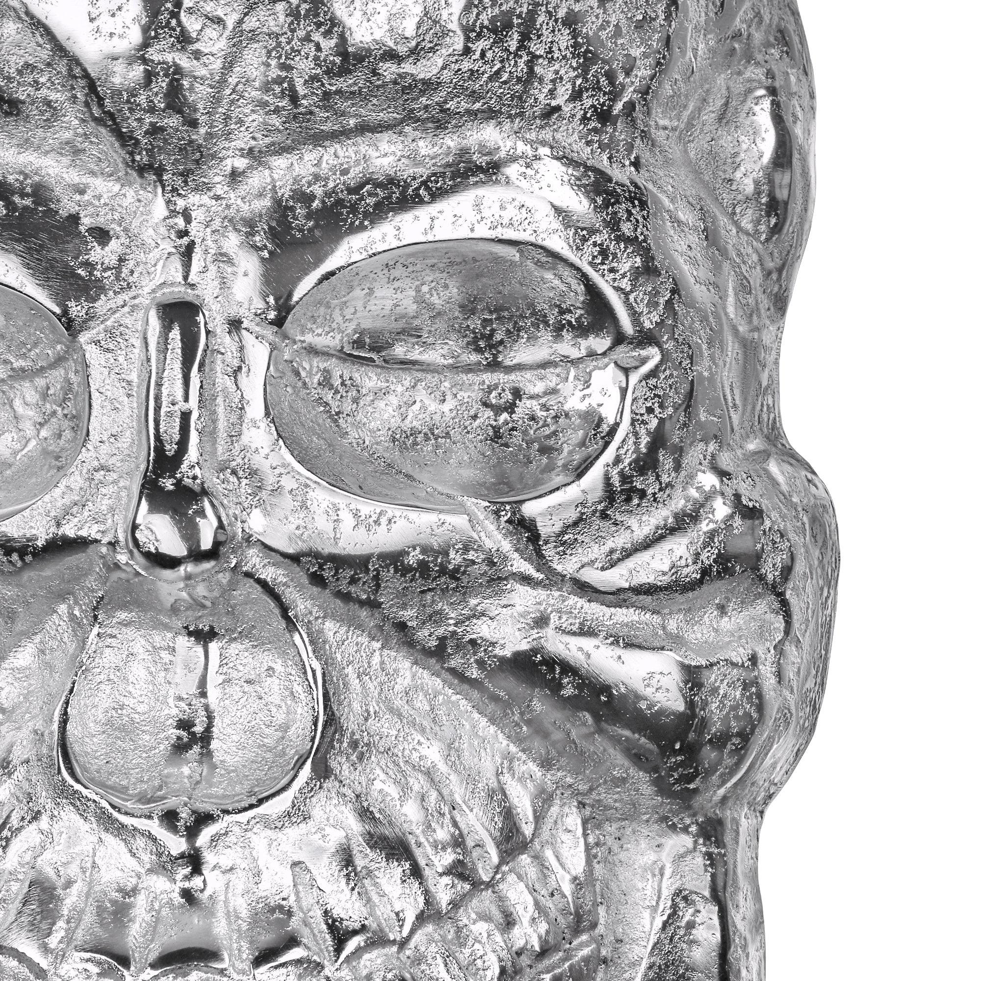 ECD Germany Haus Wohnen skull argent 42x30 cm aluminium mural