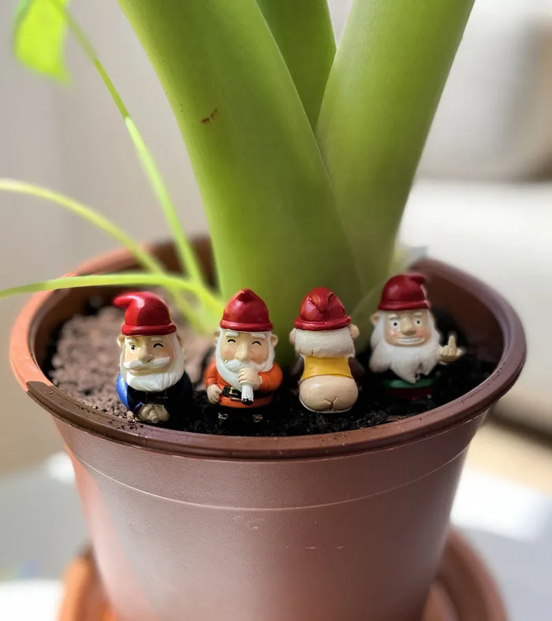 L'avant gardiste Outdoor mini gnomes jardin effrontés
