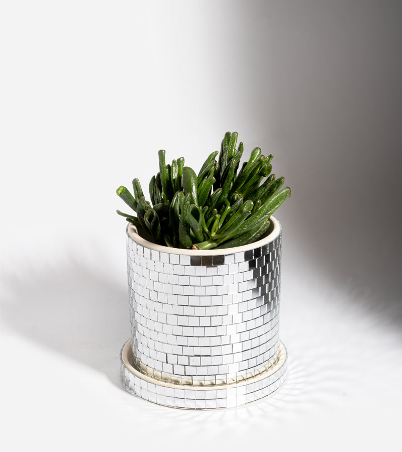 L'avant gardiste Vases et cache-pots cache-pot disco brillant