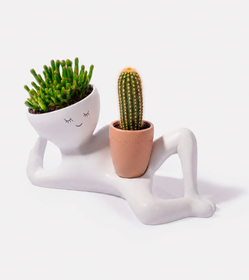L'avant gardiste bonhomme paresseux pot plante succulentes
