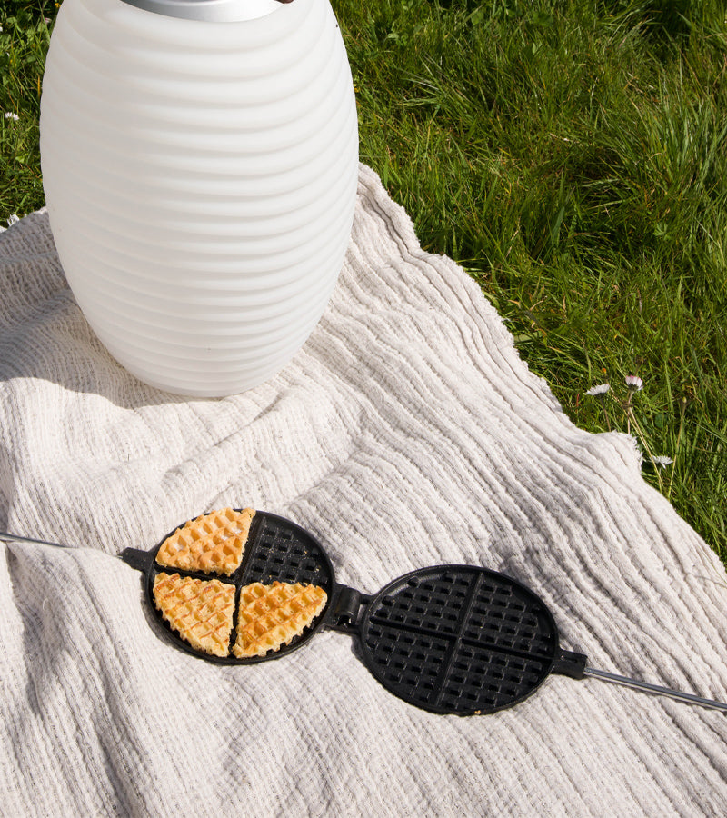 L'avant gardiste gaufrier pour barbecue braises brunch