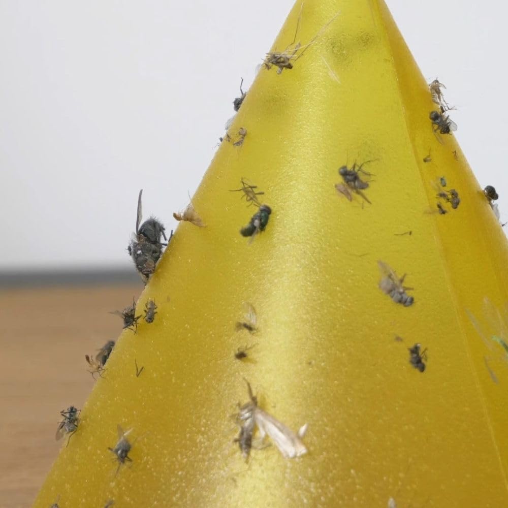Shop-Story Maison CactusTrap Lanterne Piège Insectes USB