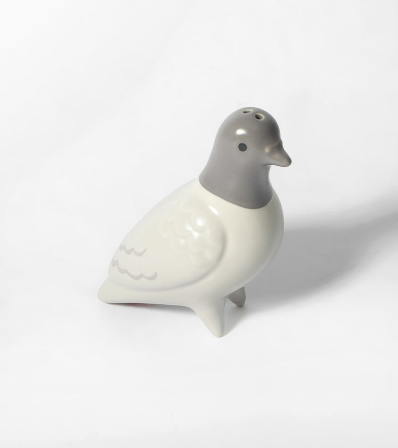 L'avant gardiste pigeons salière poivrière oiseaux gris