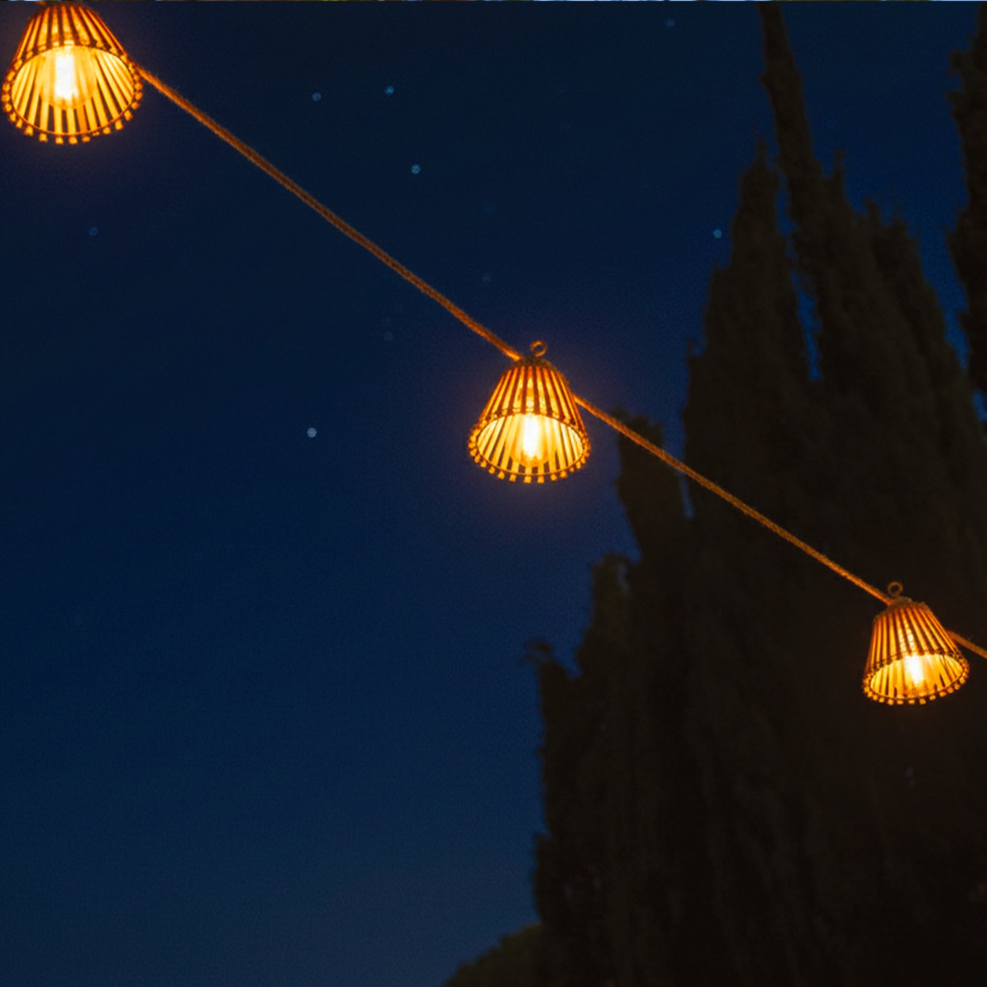 Red Deco Natura guirlande LED bambou 8m blanc chaud hybride