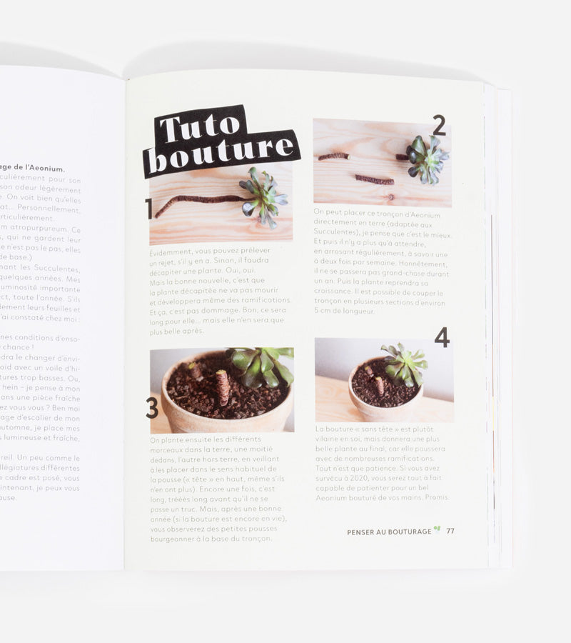 L'avant gardiste Livres Comment ne pas faire crever ses plantes guide