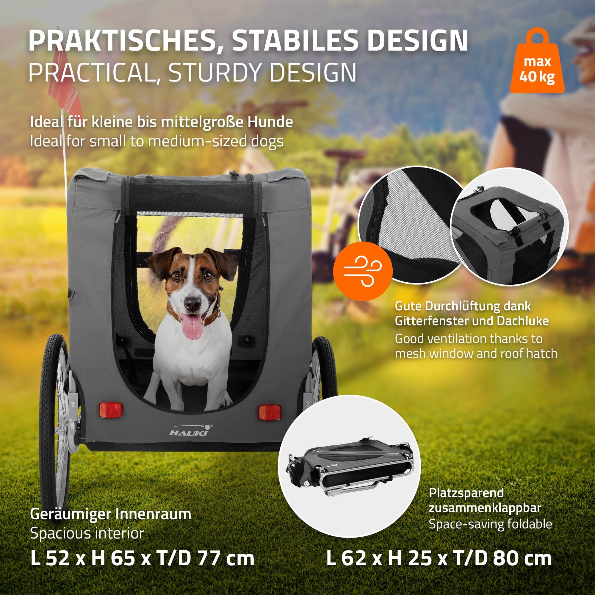 ECD Germany Hauki remorque vélo chien gris 40 kg pliable