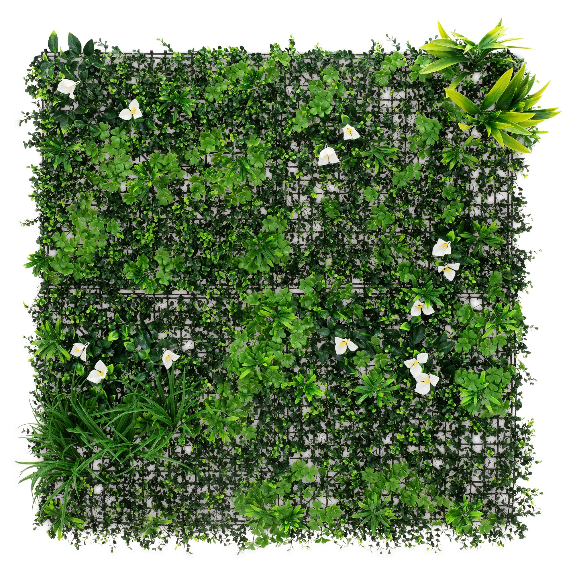ECD Germany Haus panneau végétal 100x100cm Jungle Mix UV