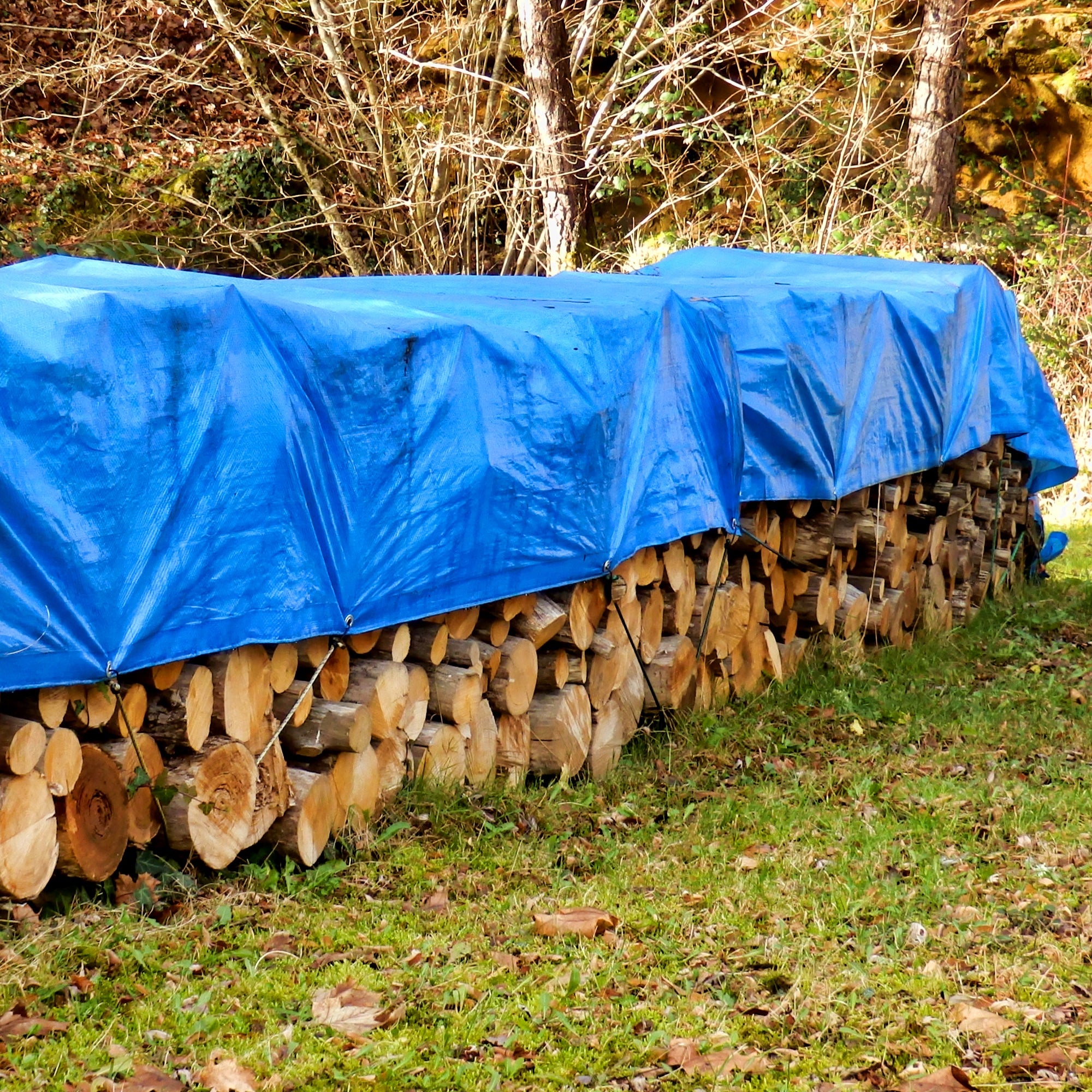 ECD Germany Garten bâche bleue 1,5x6 m 260 g/m² œillets