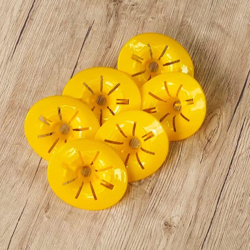 Shop-Story Maison Wasp Trap Piège Guêpes x6 Piège Bouteille Écologique