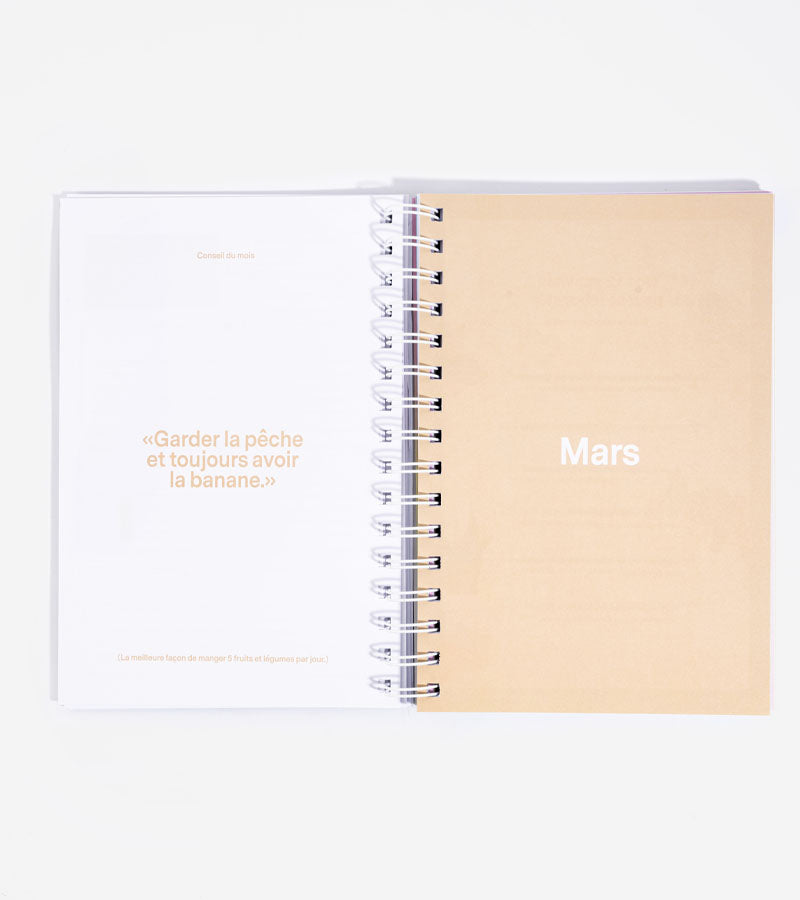 L'avant gardiste Moodtivation planner mensuel 12 mois motivation
