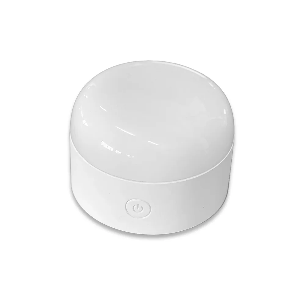 Red Deco Mini Lys 300 Lumens ampoule LED télécommande multicolore