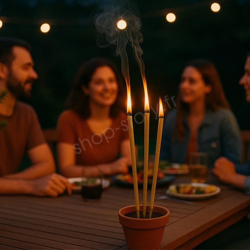 Shop-Story Maison encens géant citronnelle 60 bâtons 40 cm anti-moustique