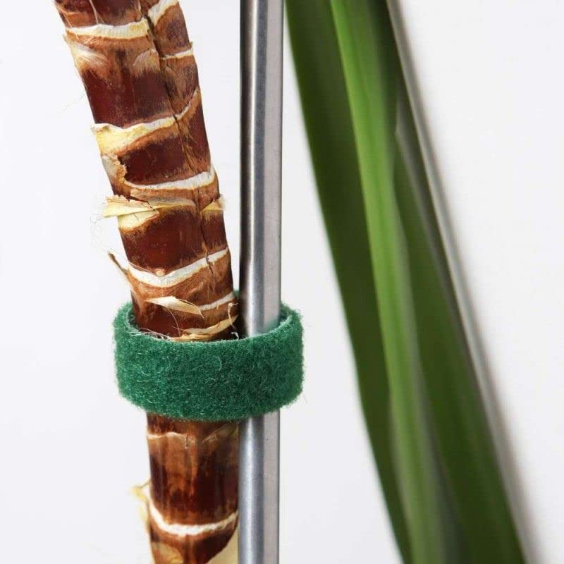 Shop-Story Velkro Tape bande auto-agrippante verte 5 m