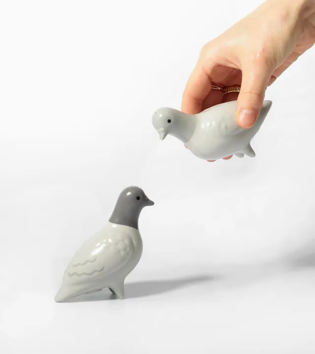 L'avant gardiste pigeons salière poivrière oiseaux gris