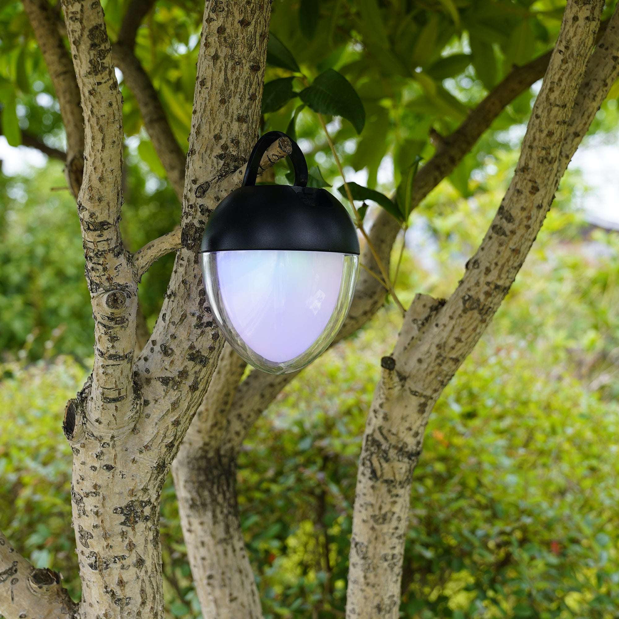 Red Deco Ovie H12cm lampe sans fil LED blanc + RGB