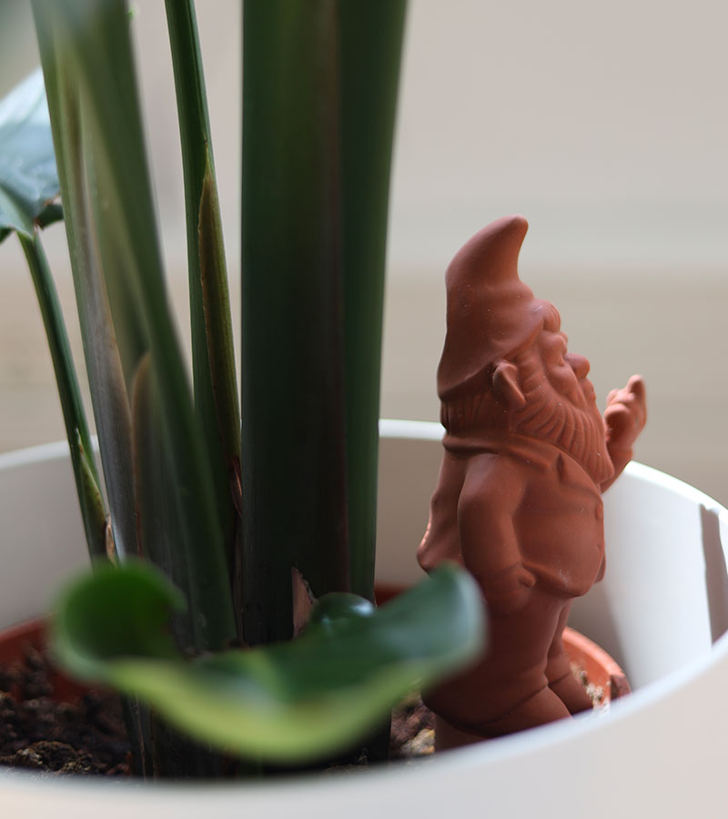 L'avant gardiste Outdoor gnome terracotta irrigateur plantes
