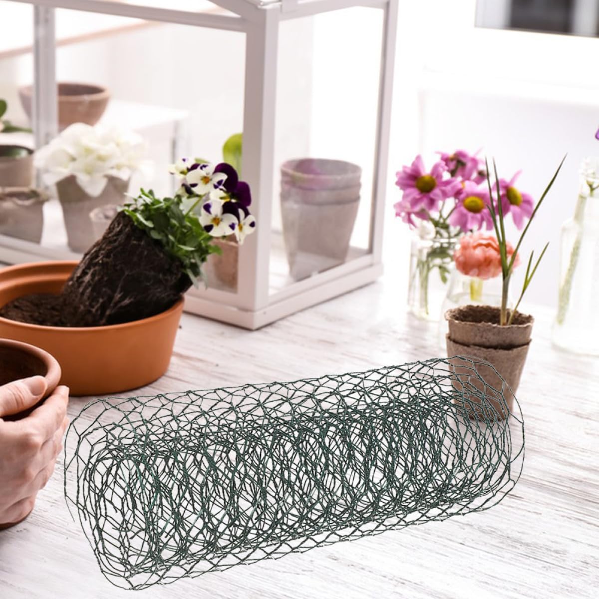 Milisten Patio grillage poule vert 30 cm x 1 m maille 19 mm