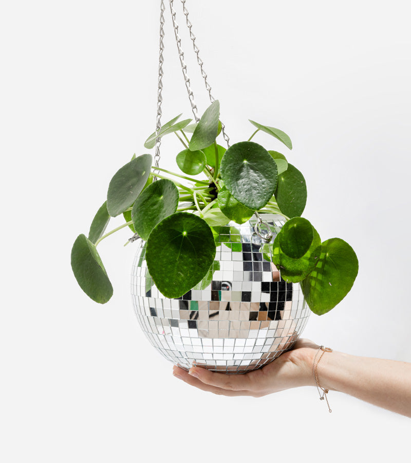 L'avant gardiste Disco pot plantes boule facettes 15cm