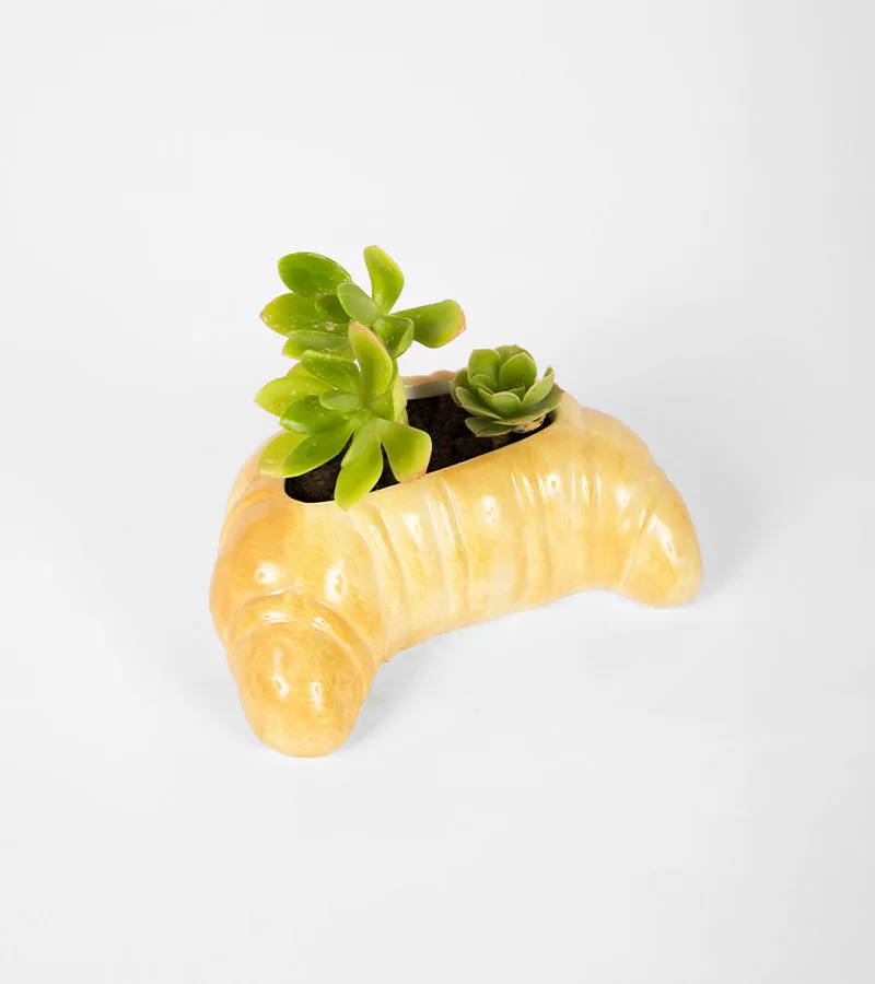 L'avant gardiste Croissant pot à plante doré petit-déj