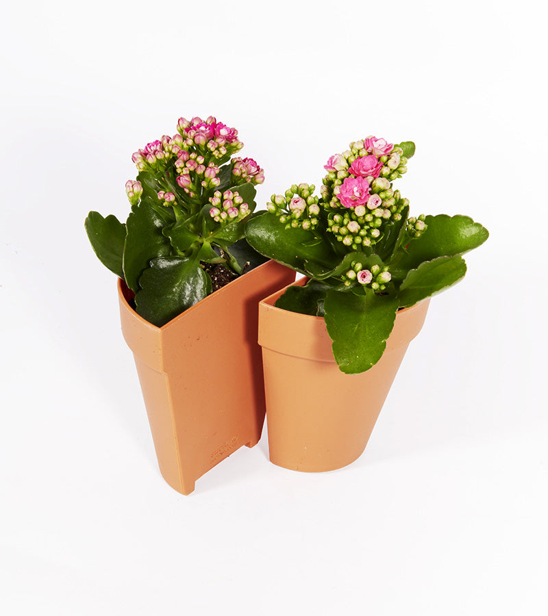 L'avant gardiste Serre-livres 2 en 1 pot à plantes lot 2