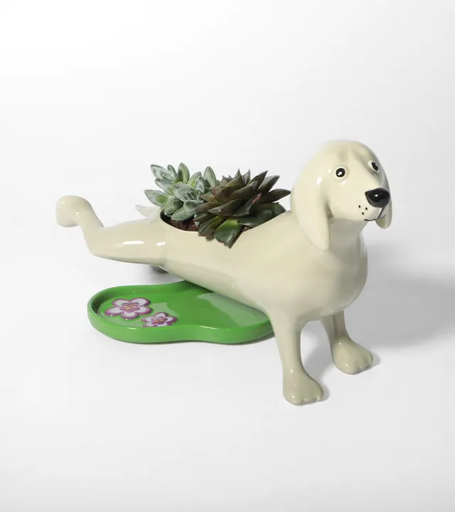 L'avant gardiste Chien qui fait pipi cache-pot humour